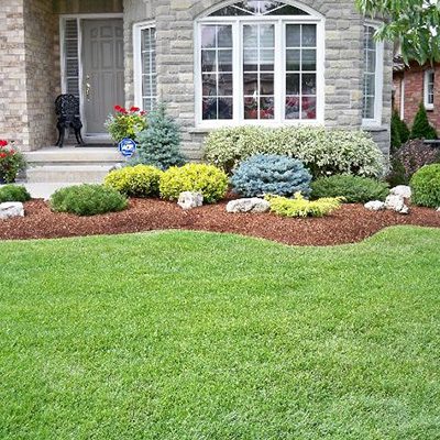 garden design