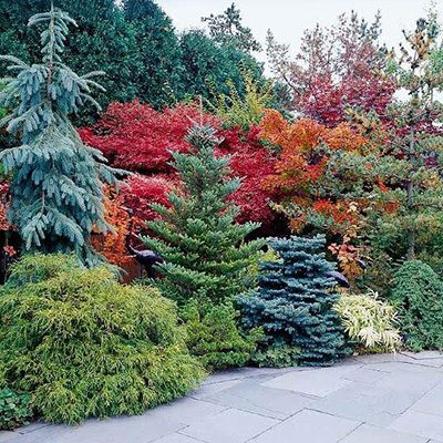 garden design