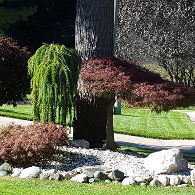 garden design