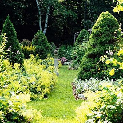 garden design