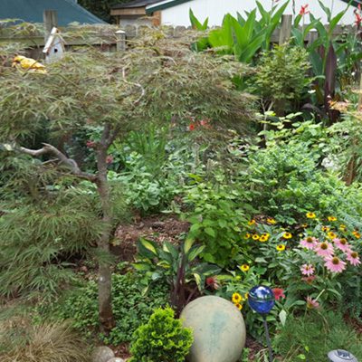 garden design