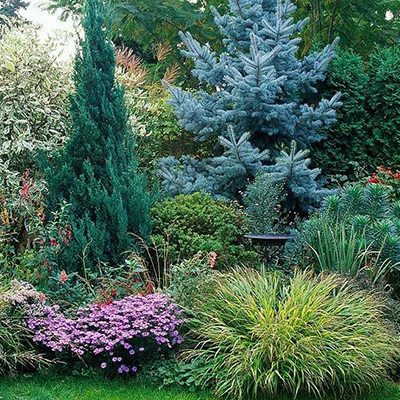 garden design