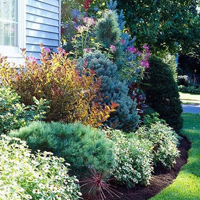 garden design