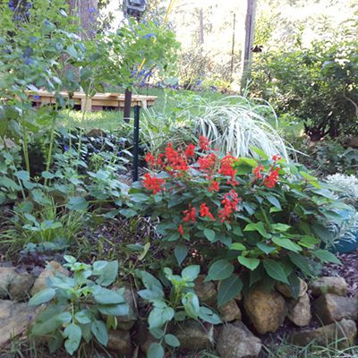 garden design