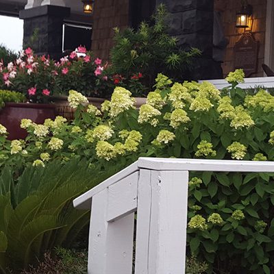 garden design