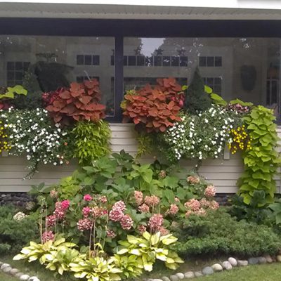 garden design