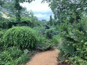 How Can Your Garden Provide Native Habitats and Support Biodiversity?