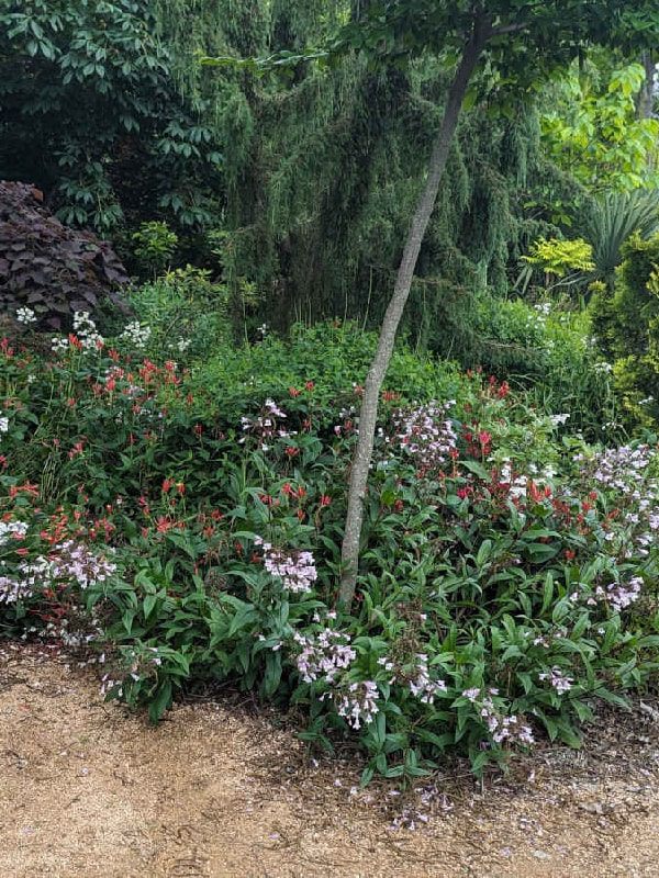 Landscape Design